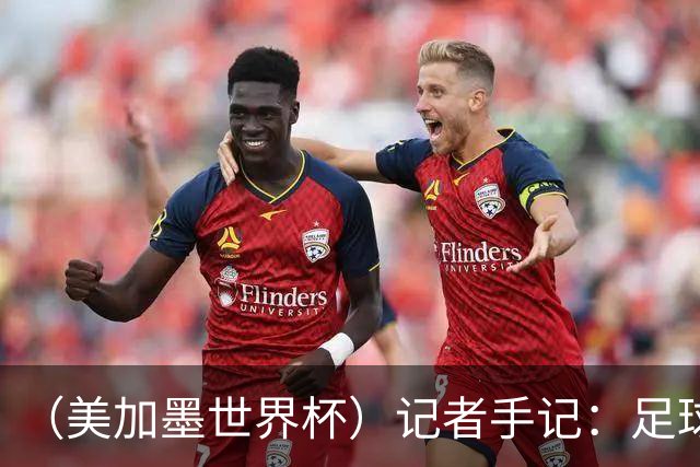 （美加墨世界杯）记者手记：足球在美国，熟悉又陌生